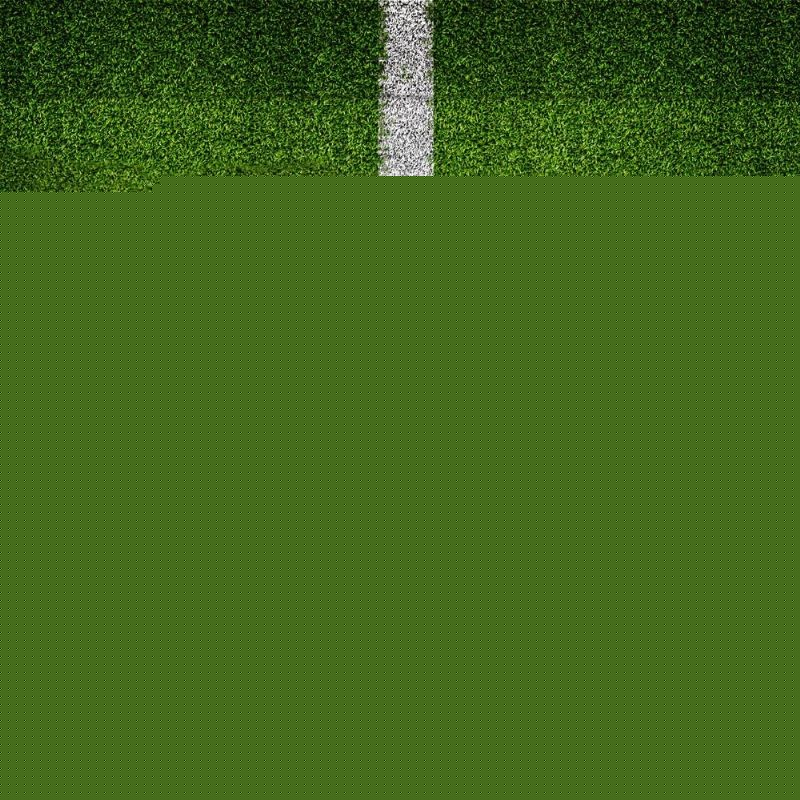 坛的焦点 坛的焦点