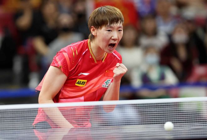 舒斯特尔的 舒斯特尔的